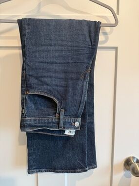 Agolde Ren Dark Wash Wide Leg Jeans